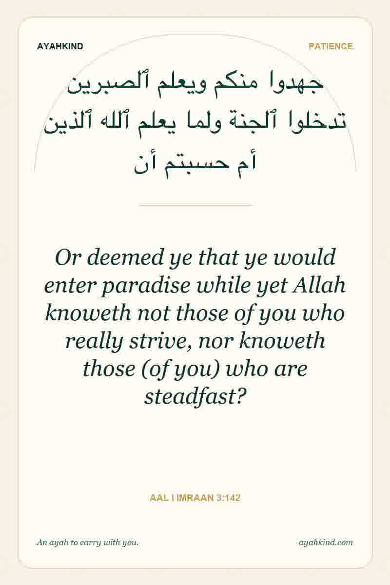 Or deemed ye that ye would enter paradise while yet Allah knoweth not those of you who really strive, nor knoweth those (of you) who are steadfast? — Aal i Imraan 3:142