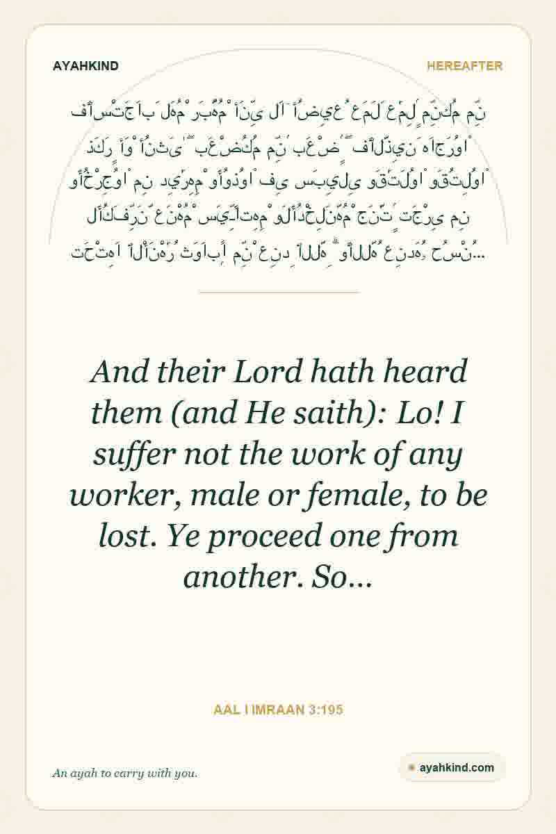 And their Lord hath heard them (and He saith): Lo! I suffer not the work of any worker, male or female, to be lost. Ye proceed one from another. So… — Aal i Imraan 3:195