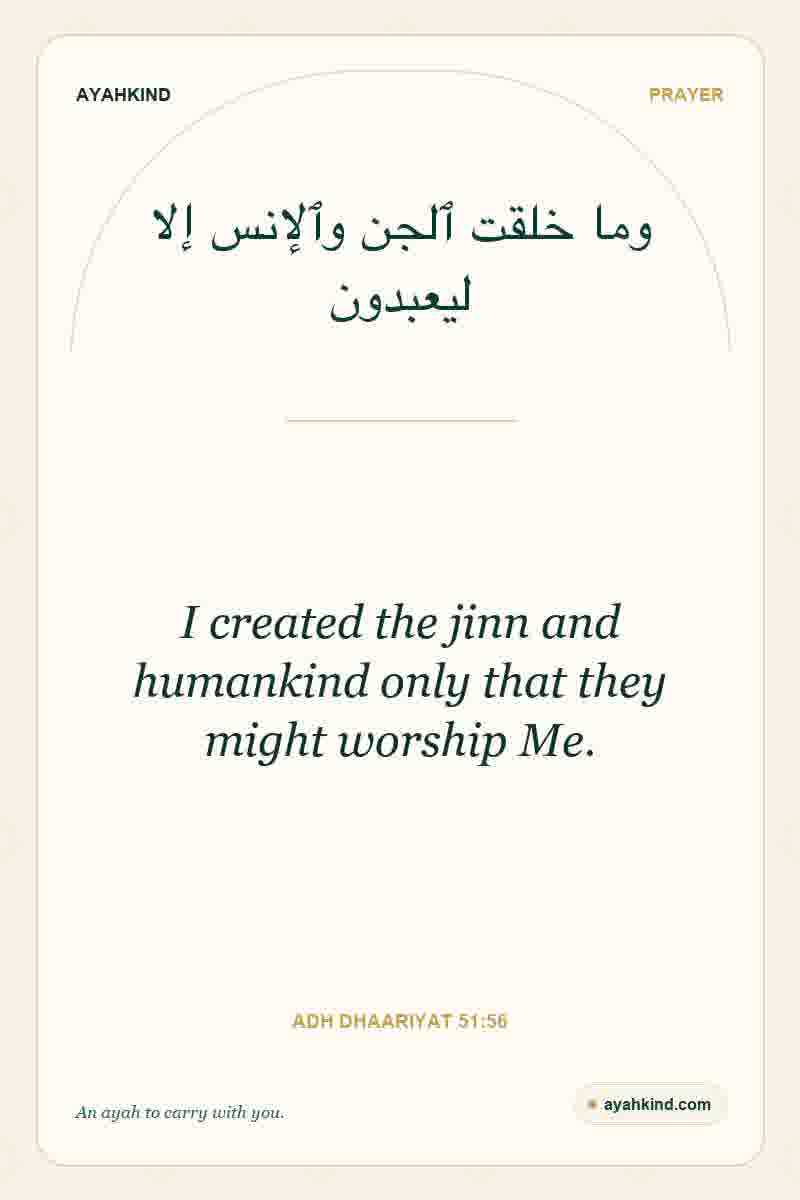 I created the jinn and humankind only that they might worship Me. — Adh Dhaariyat 51:56