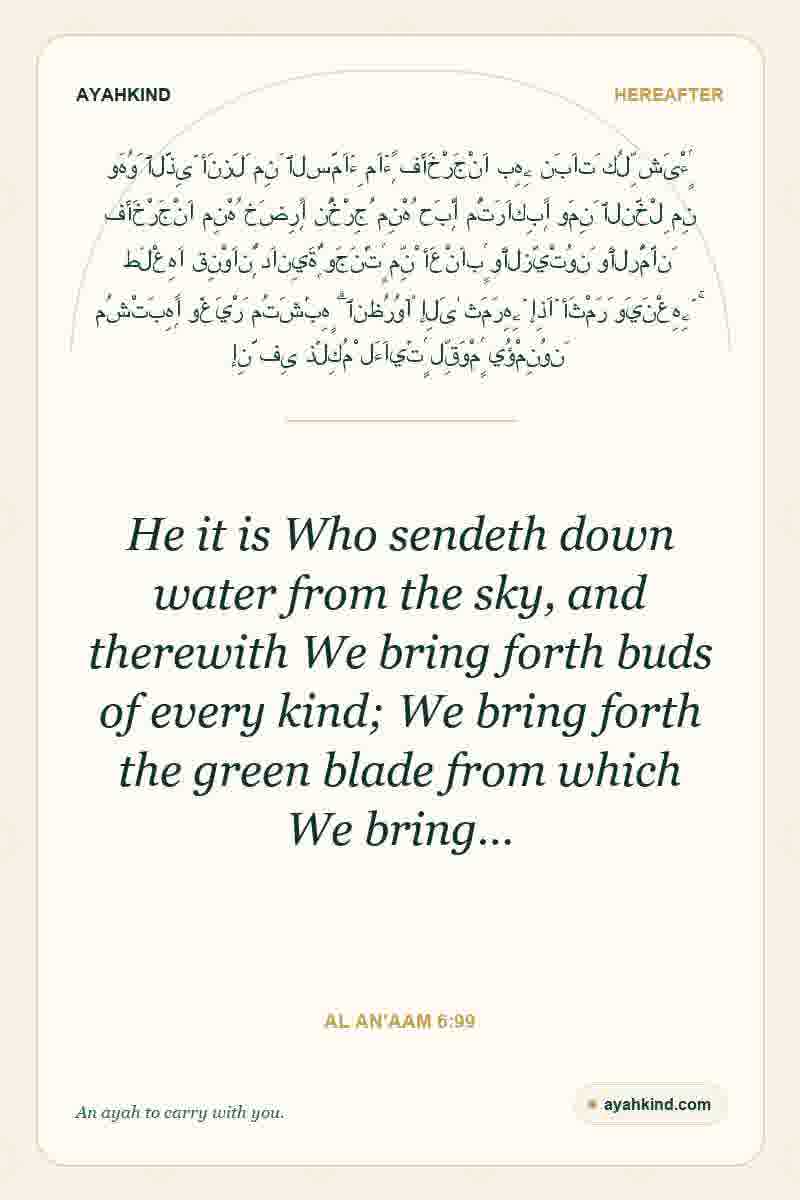 He it is Who sendeth down water from the sky, and therewith We bring forth buds of every kind; We bring forth the green blade from which We bring… — Al An'aam 6:99