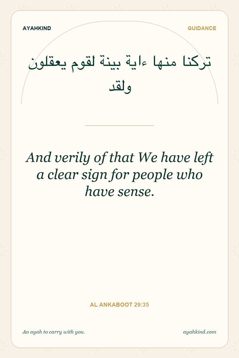 And verily of that We have left a clear sign for people who have sense. — Al Ankaboot 29:35