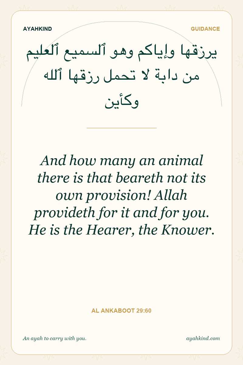 And how many an animal there is that beareth not its own provision! Allah provideth for it and for you. He is the Hearer, the Knower. — Al Ankaboot 29:60