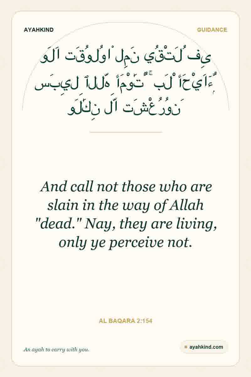 And call not those who are slain in the way of Allah "dead." Nay, they are living, only ye perceive not. — Al Baqara 2:154