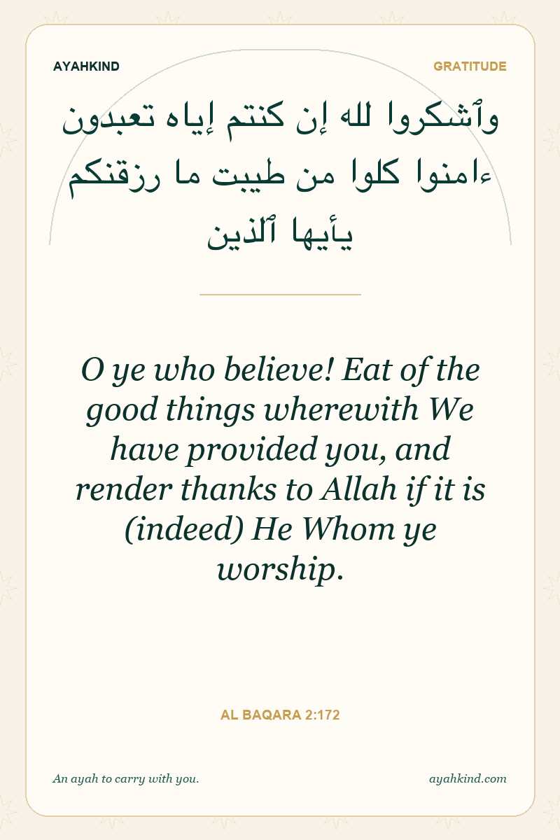 O ye who believe! Eat of the good things wherewith We have provided you, and render thanks to Allah if it is (indeed) He Whom ye worship. — Al Baqara 2:172