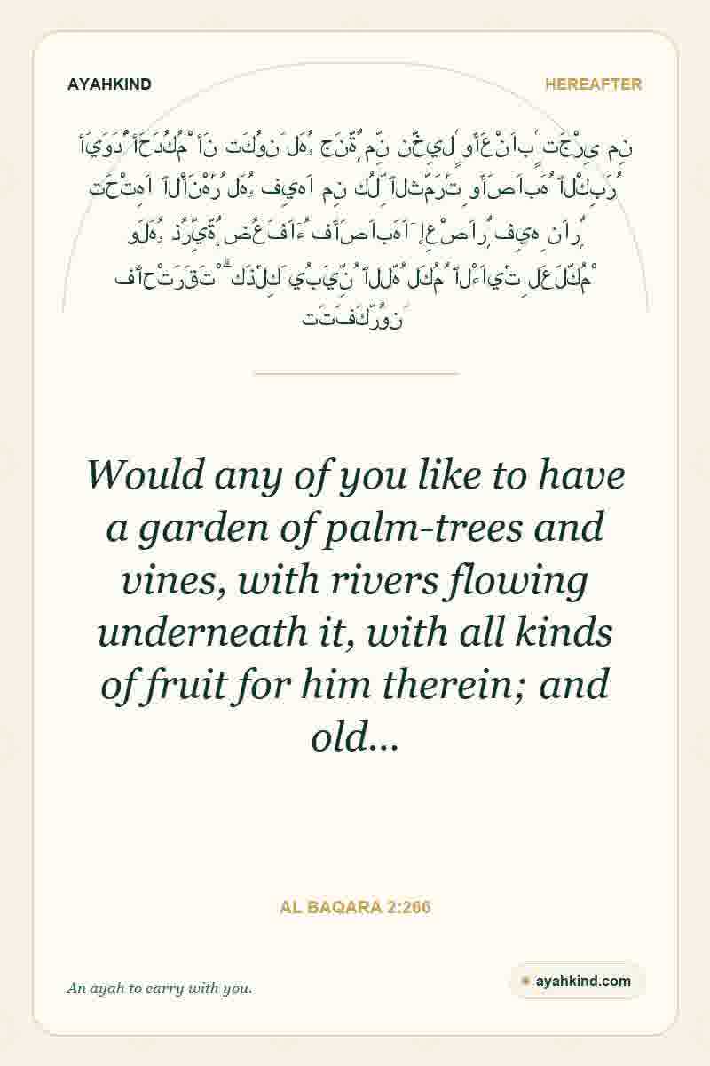 Would any of you like to have a garden of palm-trees and vines, with rivers flowing underneath it, with all kinds of fruit for him therein; and old… — Al Baqara 2:266