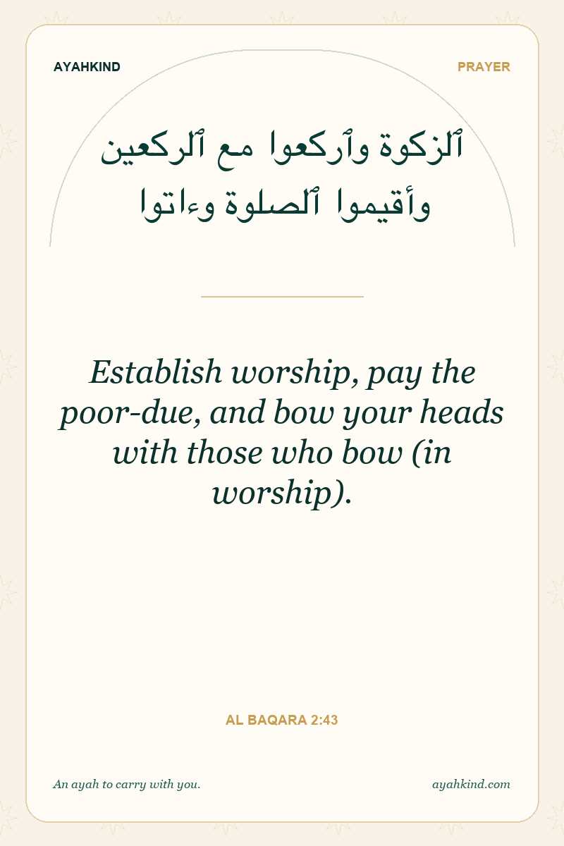 Establish worship, pay the poor-due, and bow your heads with those who bow (in worship). — Al Baqara 2:43