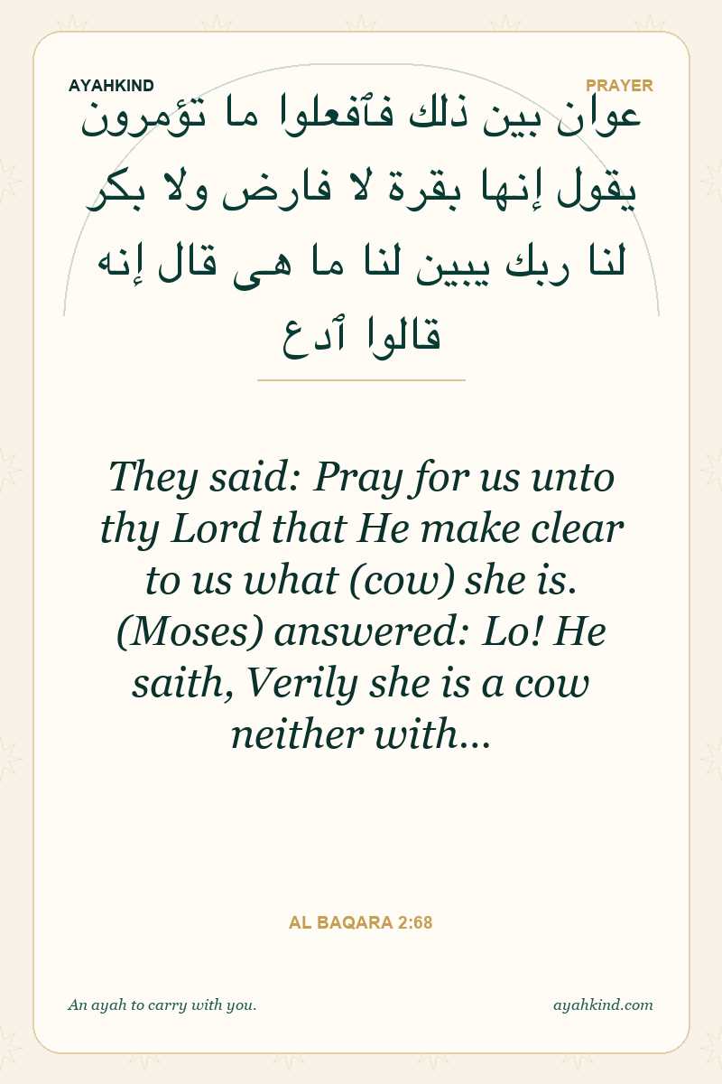 They said: Pray for us unto thy Lord that He make clear to us what (cow) she is. (Moses) answered: Lo! He saith, Verily she is a cow neither with… — Al Baqara 2:68
