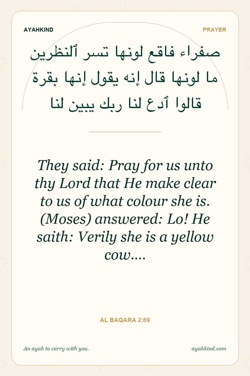 They said: Pray for us unto thy Lord that He make clear to us of what colour she is. (Moses) answered: Lo! He saith: Verily she is a yellow cow.… — Al Baqara 2:69