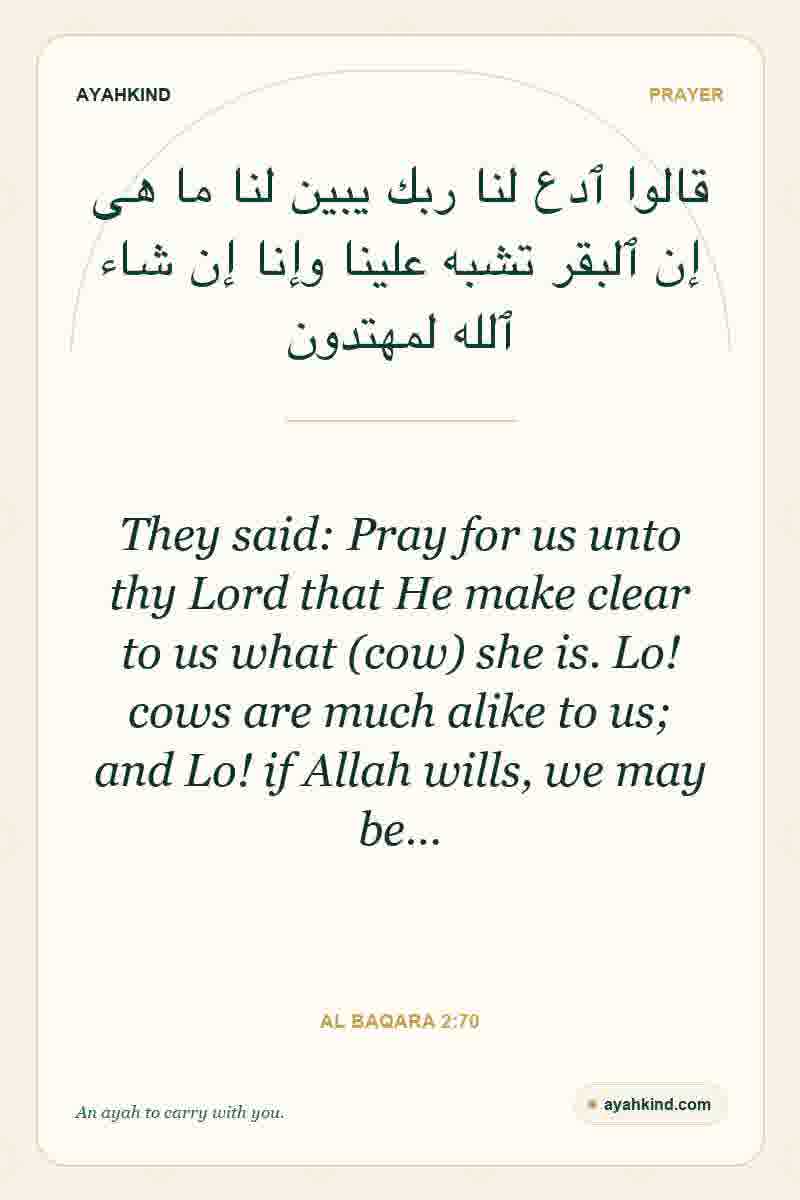 They said: Pray for us unto thy Lord that He make clear to us what (cow) she is. Lo! cows are much alike to us; and Lo! if Allah wills, we may be… — Al Baqara 2:70