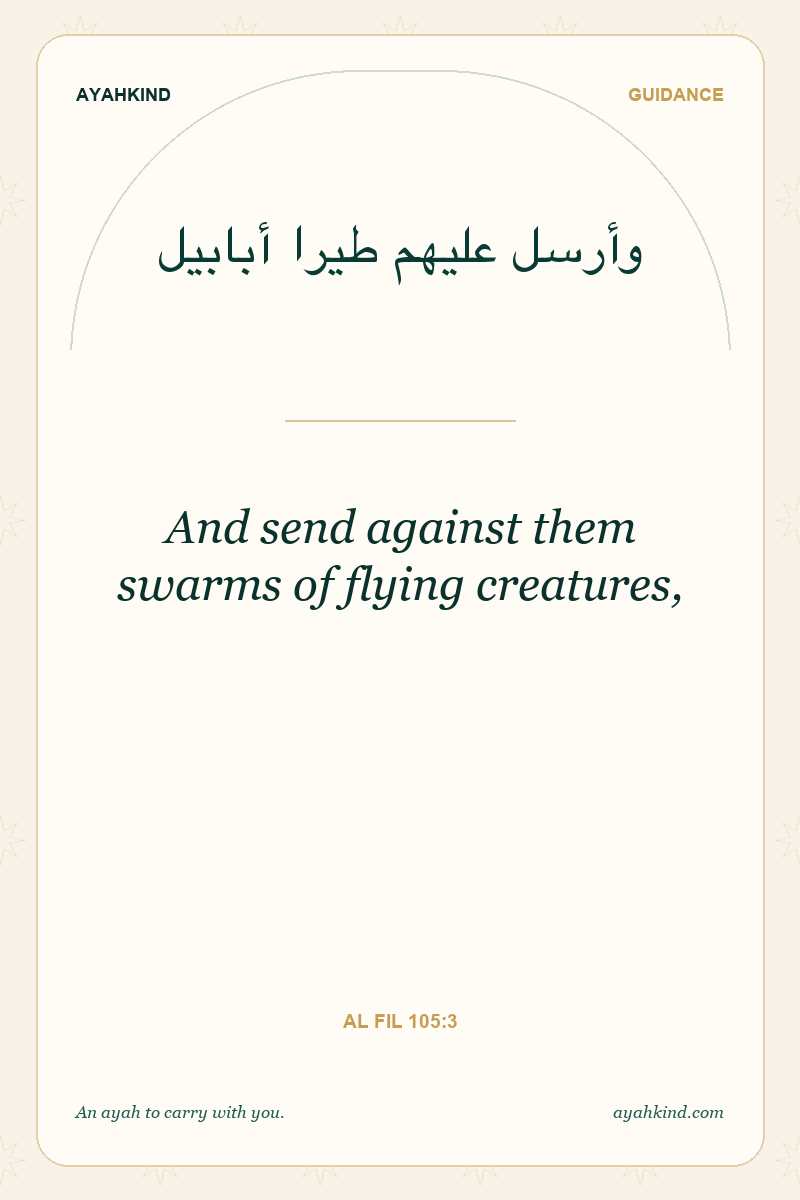 And send against them swarms of flying creatures, — Al Fil 105:3