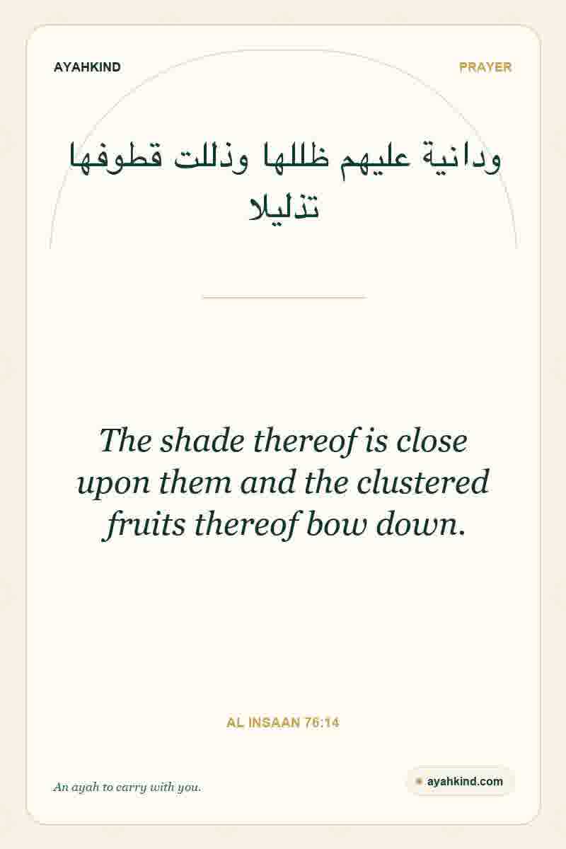 The shade thereof is close upon them and the clustered fruits thereof bow down. — Al Insaan 76:14