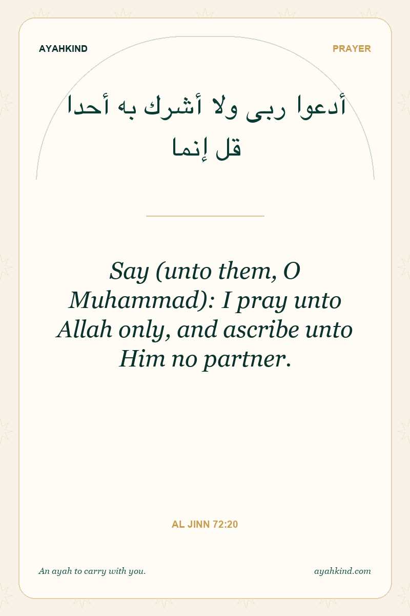 Say (unto them, O Muhammad): I pray unto Allah only, and ascribe unto Him no partner. — Al Jinn 72:20