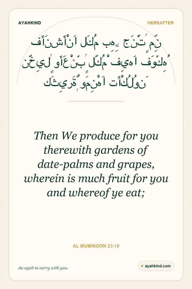 Then We produce for you therewith gardens of date-palms and grapes, wherein is much fruit for you and whereof ye eat; — Al Muminoon 23:19