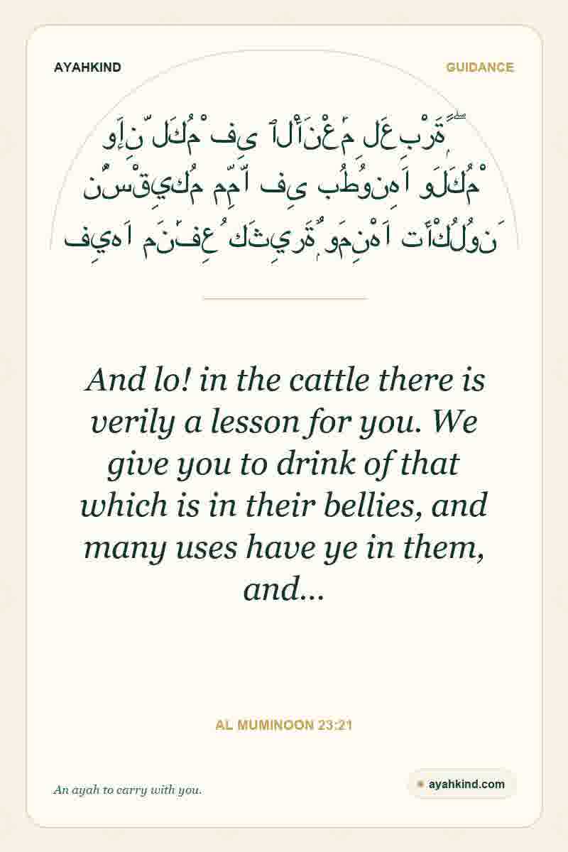 And lo! in the cattle there is verily a lesson for you. We give you to drink of that which is in their bellies, and many uses have ye in them, and… — Al Muminoon 23:21