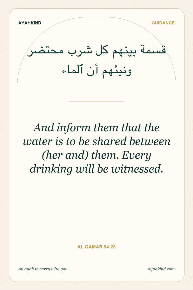 And inform them that the water is to be shared between (her and) them. Every drinking will be witnessed. — Al Qamar 54:28