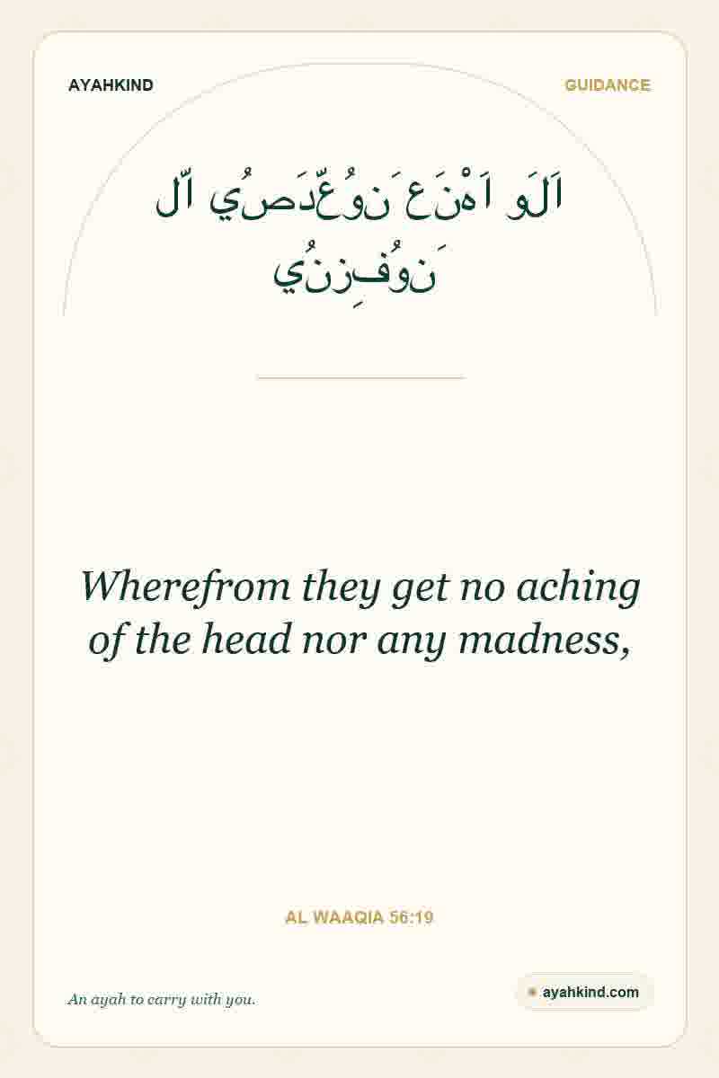 Wherefrom they get no aching of the head nor any madness, — Al Waaqia 56:19