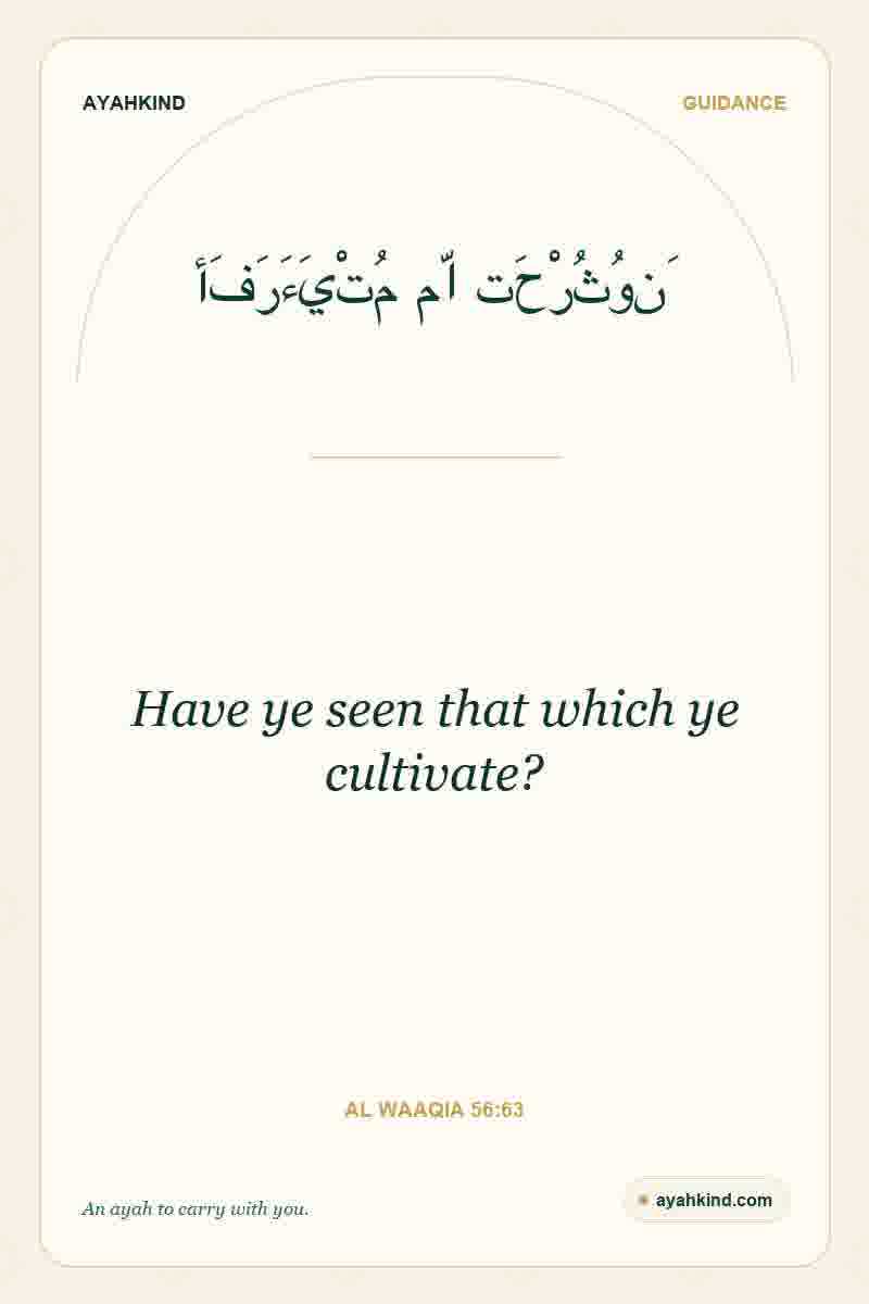 Have ye seen that which ye cultivate? — Al Waaqia 56:63