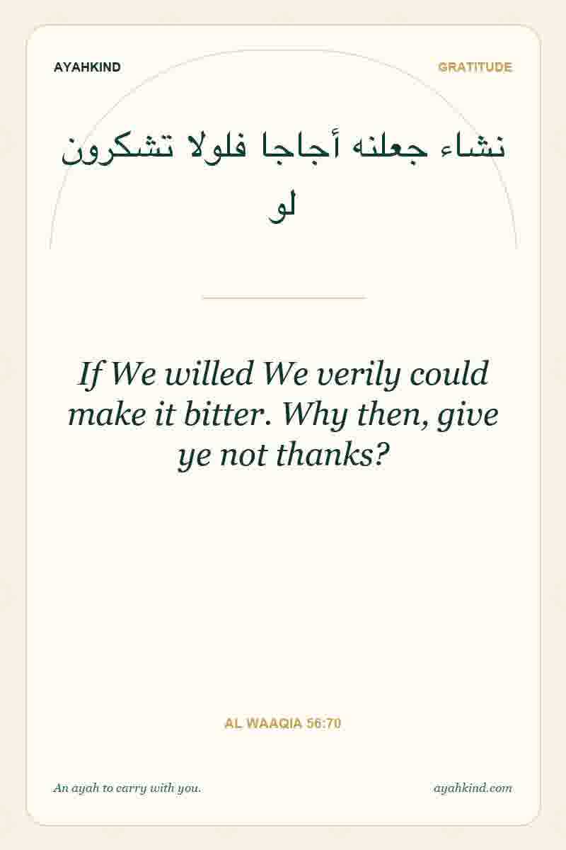 If We willed We verily could make it bitter. Why then, give ye not thanks? — Al Waaqia 56:70
