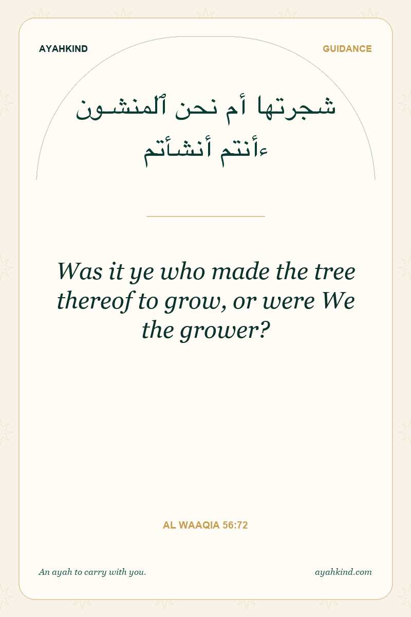 Was it ye who made the tree thereof to grow, or were We the grower? — Al Waaqia 56:72