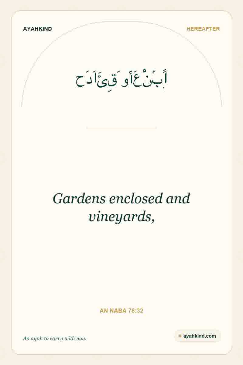 Gardens enclosed and vineyards, — An Naba 78:32