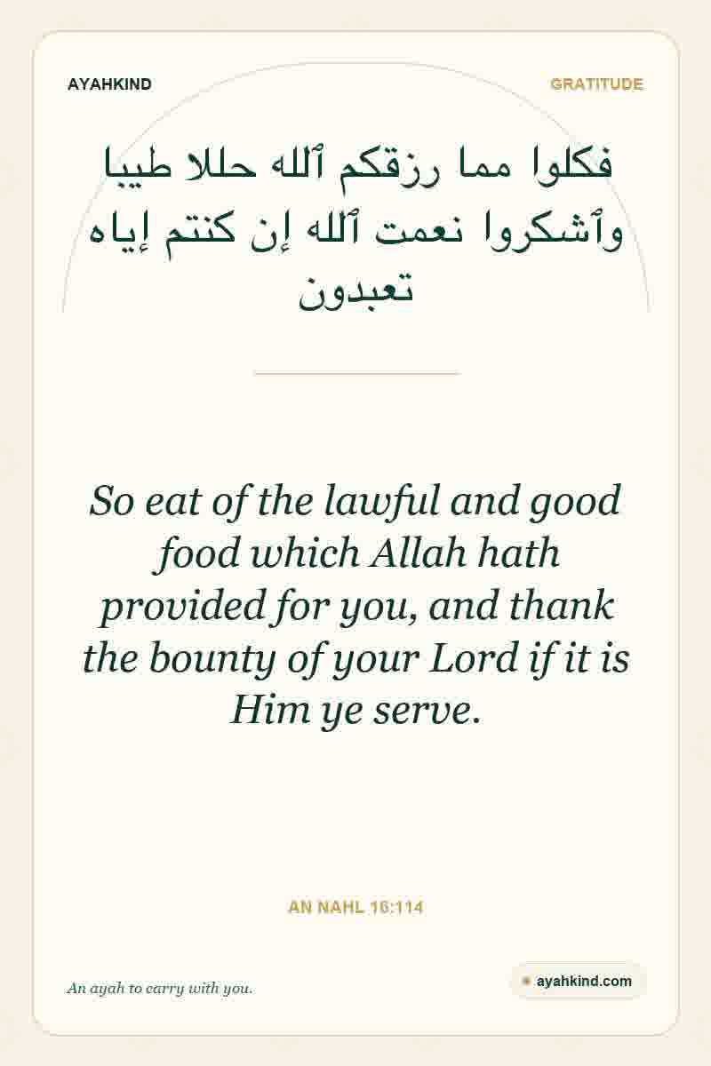 So eat of the lawful and good food which Allah hath provided for you, and thank the bounty of your Lord if it is Him ye serve. — An Nahl 16:114