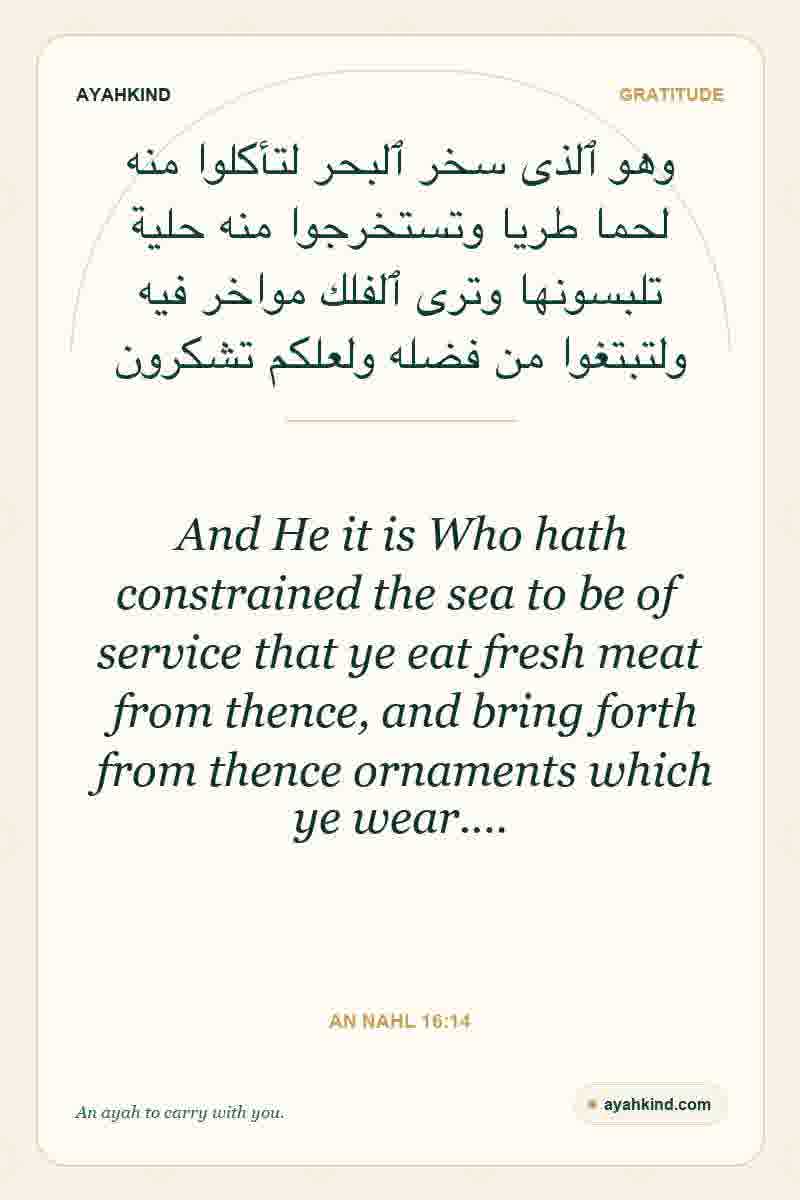 And He it is Who hath constrained the sea to be of service that ye eat fresh meat from thence, and bring forth from thence ornaments which ye wear.… — An Nahl 16:14
