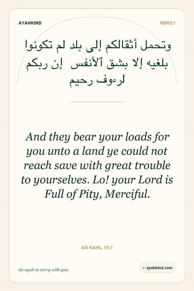 And they bear your loads for you unto a land ye could not reach save with great trouble to yourselves. Lo! your Lord is Full of Pity, Merciful. — An Nahl 16:7