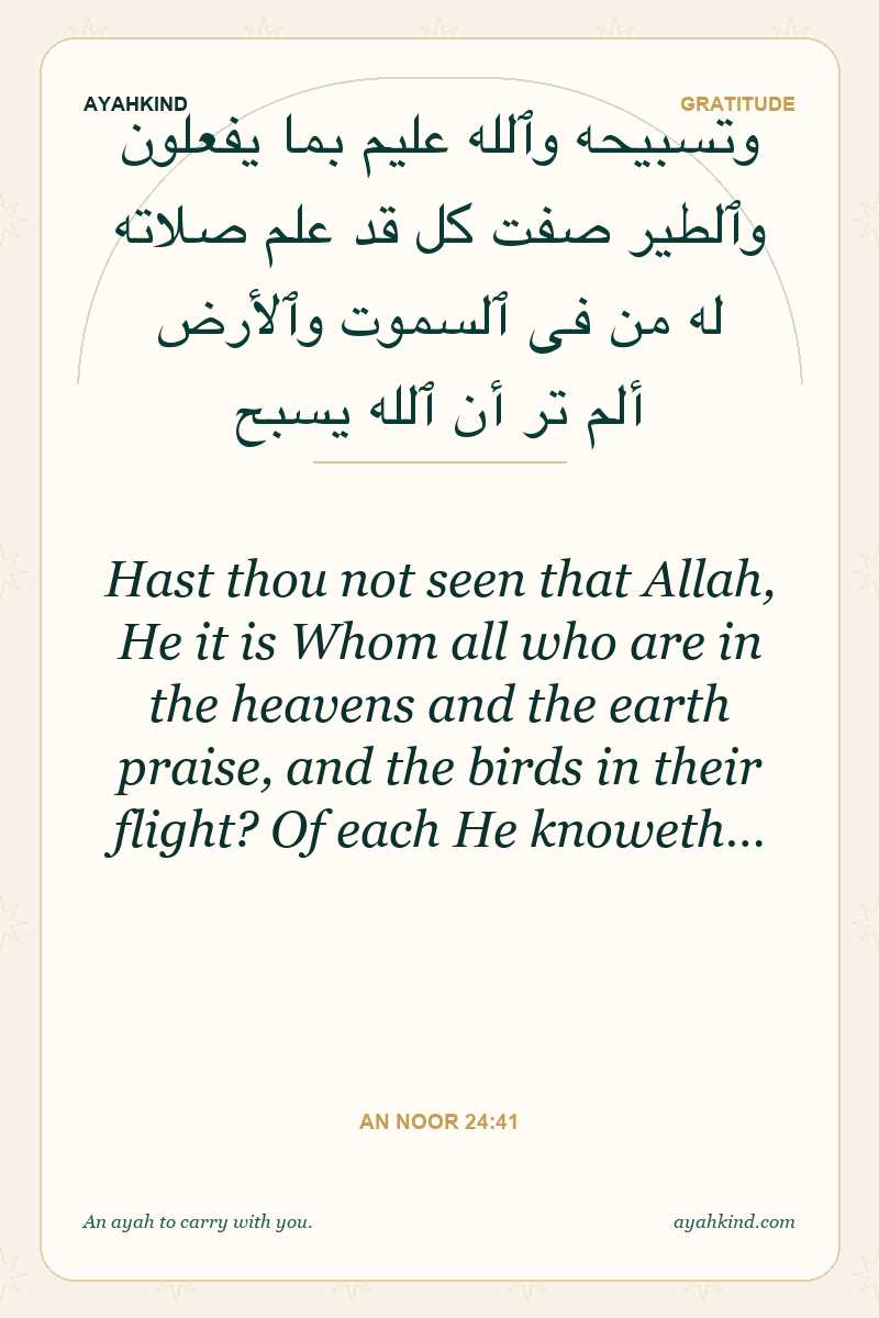 Hast thou not seen that Allah, He it is Whom all who are in the heavens and the earth praise, and the birds in their flight? Of each He knoweth… — An Noor 24:41