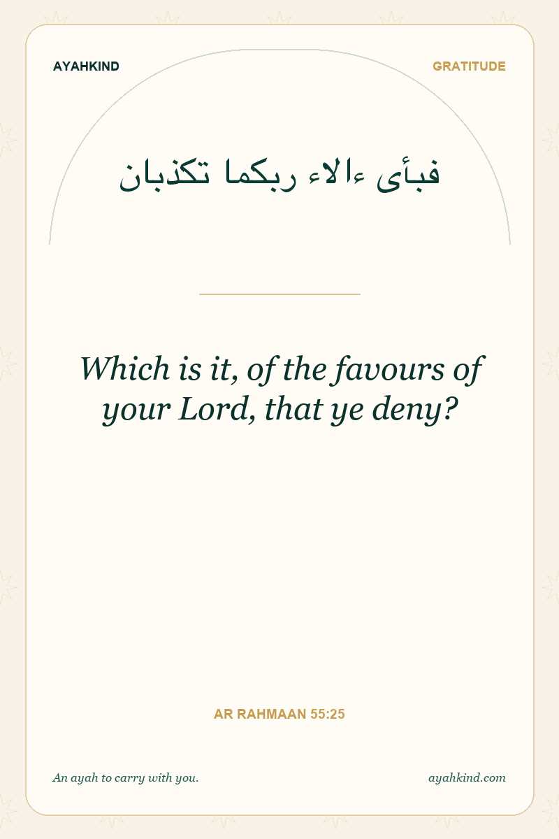 Which is it, of the favours of your Lord, that ye deny? — Ar Rahmaan 55:25