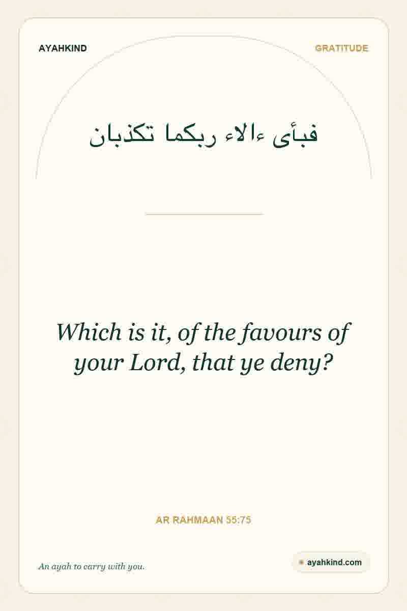 Which is it, of the favours of your Lord, that ye deny? — Ar Rahmaan 55:75