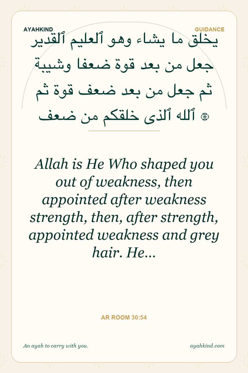 Allah is He Who shaped you out of weakness, then appointed after weakness strength, then, after strength, appointed weakness and grey hair. He… — Ar Room 30:54