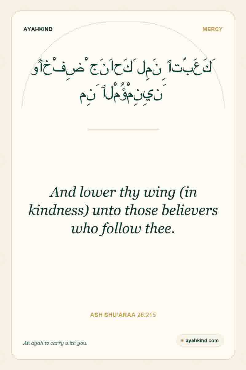 And lower thy wing (in kindness) unto those believers who follow thee. — Ash Shu'araa 26:215