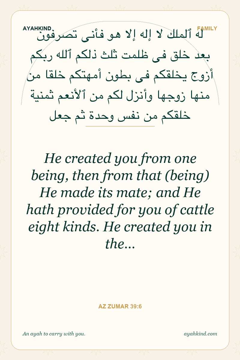 He created you from one being, then from that (being) He made its mate; and He hath provided for you of cattle eight kinds. He created you in the… — Az Zumar 39:6