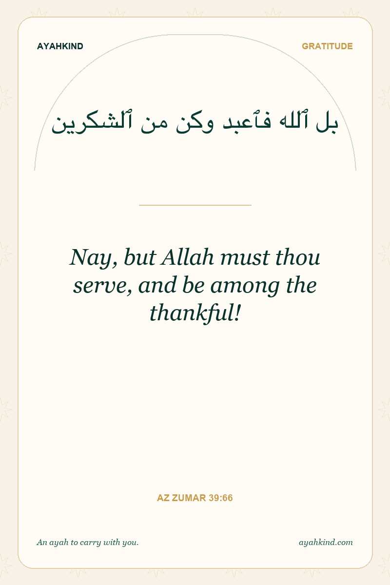 Nay, but Allah must thou serve, and be among the thankful! — Az Zumar 39:66