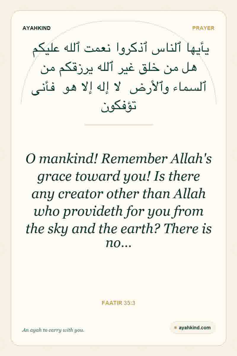 O mankind! Remember Allah's grace toward you! Is there any creator other than Allah who provideth for you from the sky and the earth? There is no… — Faatir 35:3