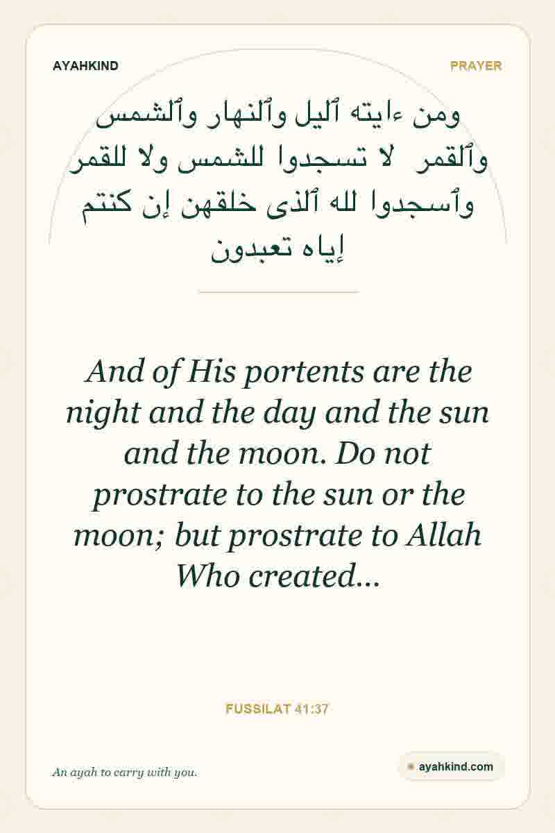 And of His portents are the night and the day and the sun and the moon. Do not prostrate to the sun or the moon; but prostrate to Allah Who created… — Fussilat 41:37