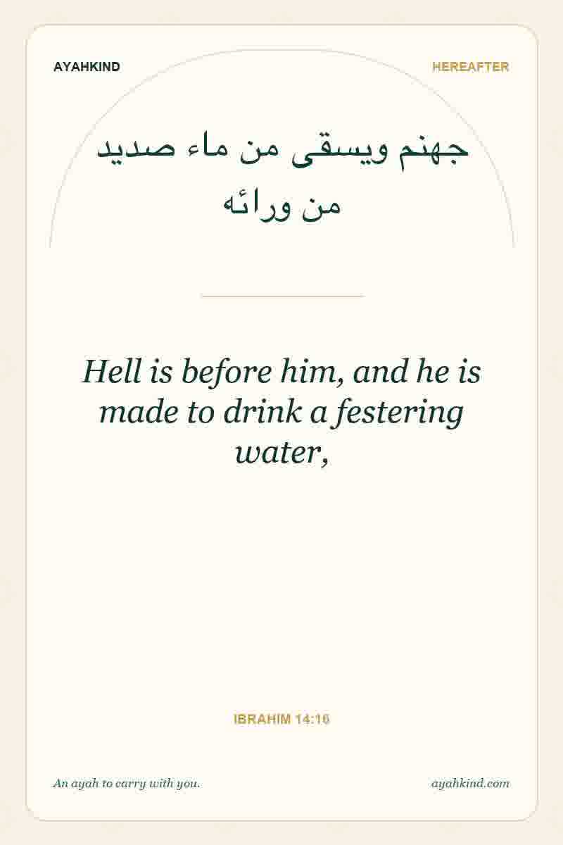 Hell is before him, and he is made to drink a festering water, — Ibrahim 14:16