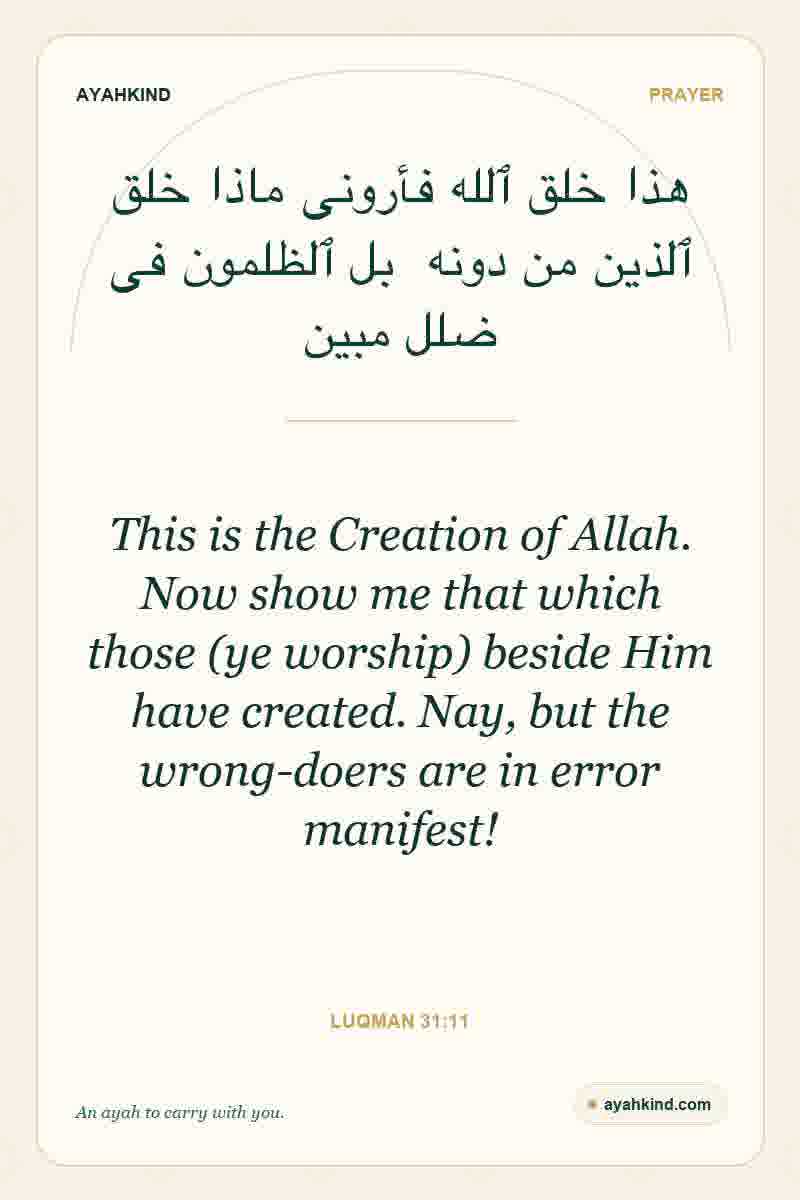 This is the Creation of Allah. Now show me that which those (ye worship) beside Him have created. Nay, but the wrong-doers are in error manifest! — Luqman 31:11