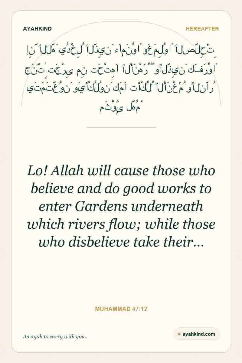 Lo! Allah will cause those who believe and do good works to enter Gardens underneath which rivers flow; while those who disbelieve take their… — Muhammad 47:12