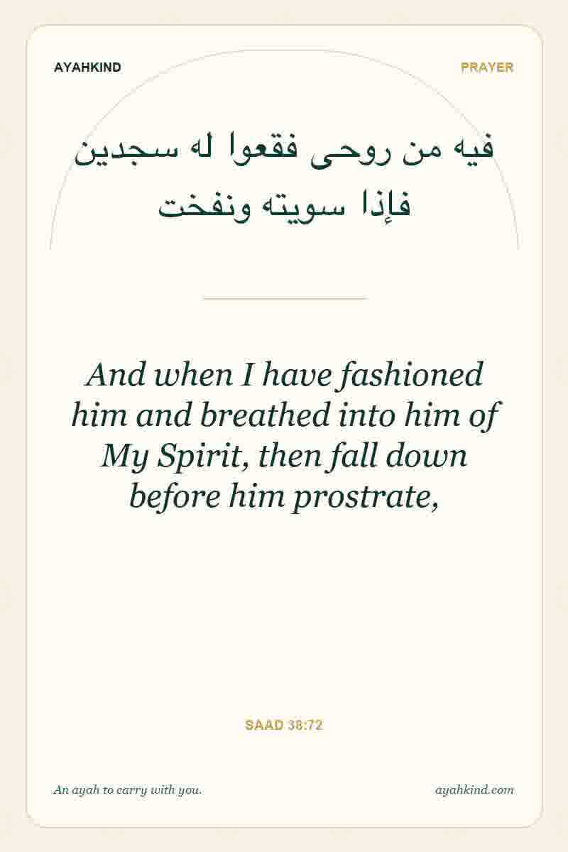 And when I have fashioned him and breathed into him of My Spirit, then fall down before him prostrate, — Saad 38:72