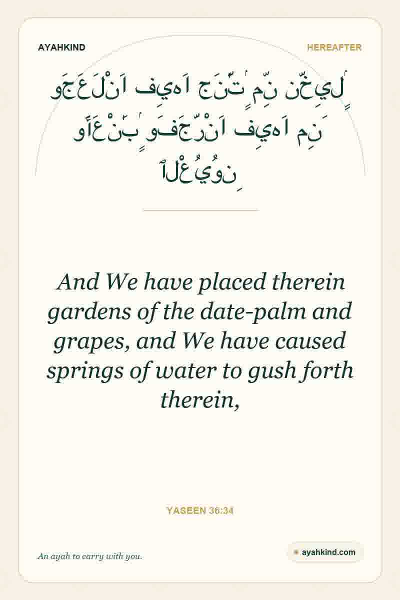 And We have placed therein gardens of the date-palm and grapes, and We have caused springs of water to gush forth therein, — Yaseen 36:34