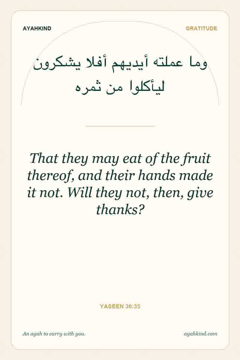 That they may eat of the fruit thereof, and their hands made it not. Will they not, then, give thanks? — Yaseen 36:35