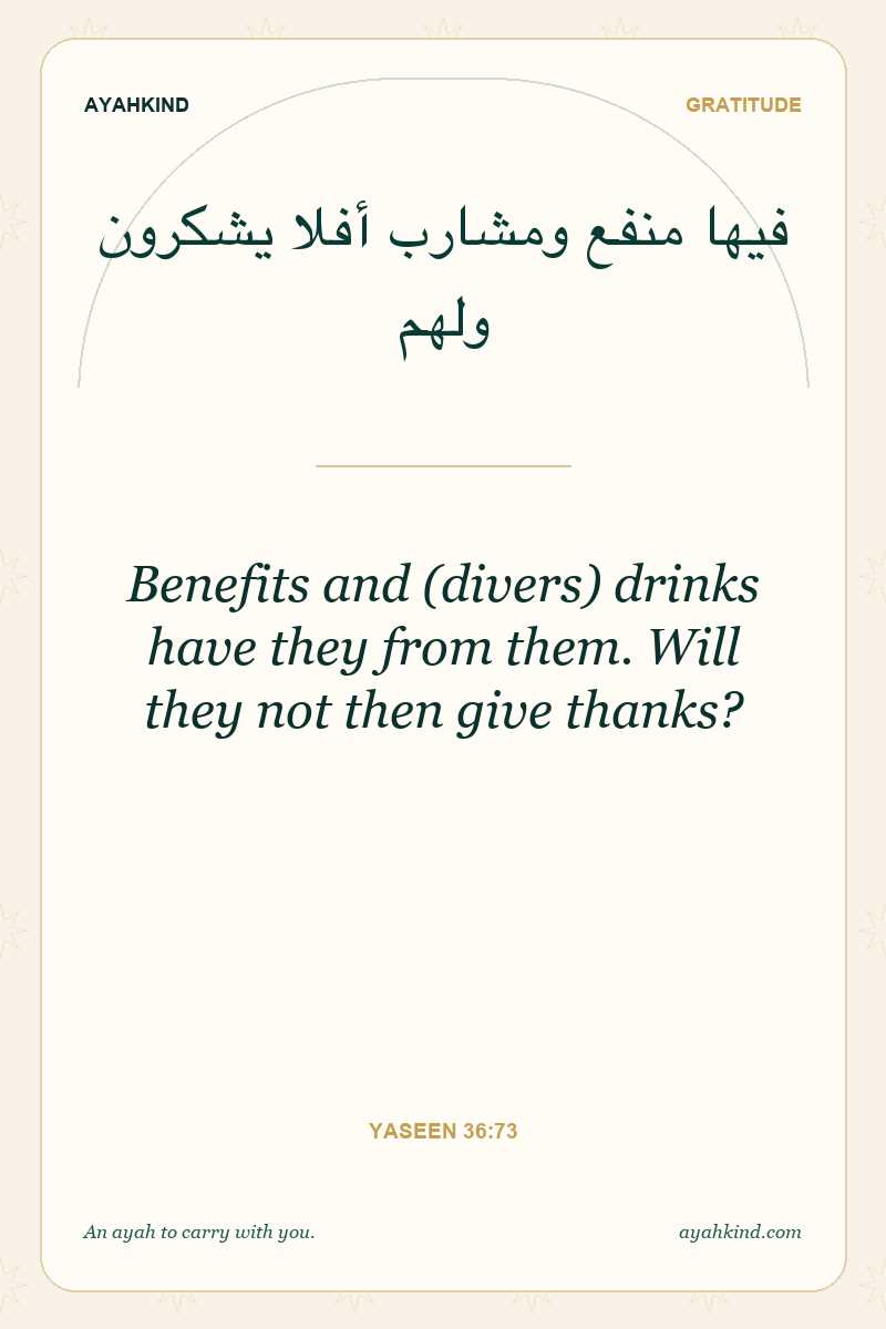 Benefits and (divers) drinks have they from them. Will they not then give thanks? — Yaseen 36:73