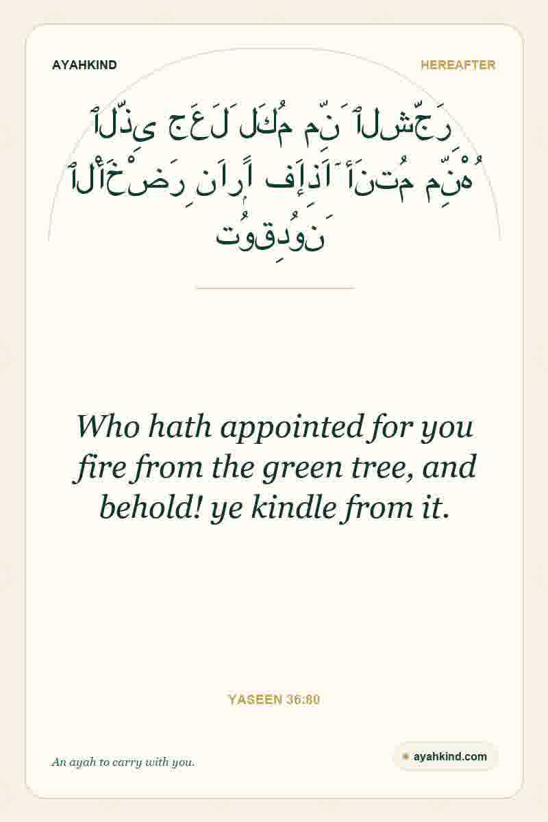 Who hath appointed for you fire from the green tree, and behold! ye kindle from it. — Yaseen 36:80